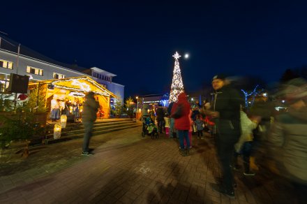 Rozświetlenie choinki na Placu Hoffa